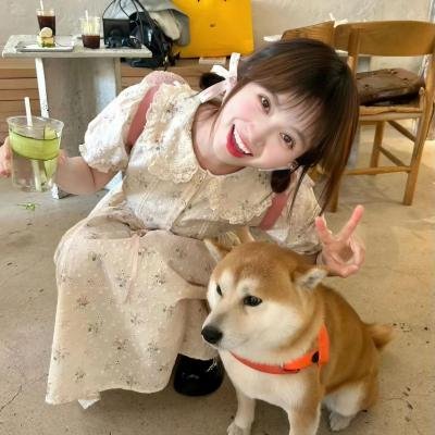 双面追缉